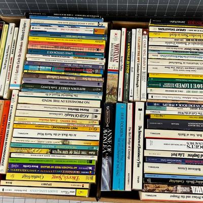 2 Boxes of Vintage Paperback Books