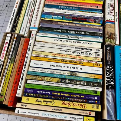 2 Boxes of Vintage Paperback Books
