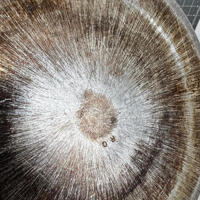 Stainless Pot with Lid