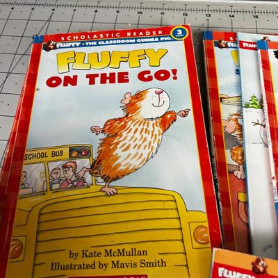 Collection of Fluffy Magazines 