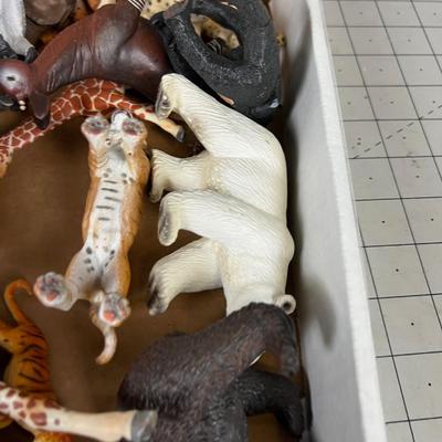 Collection of African Animals 