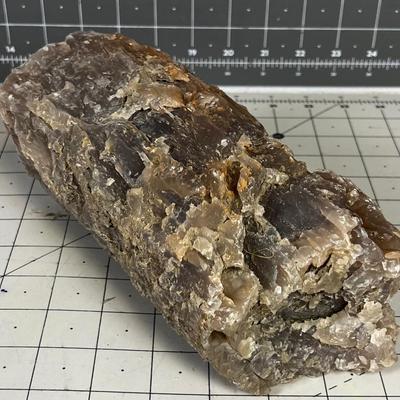 Cool ROCK Petrified Wood? 