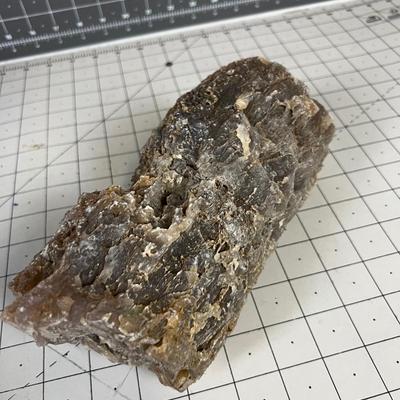 Cool ROCK Petrified Wood? 