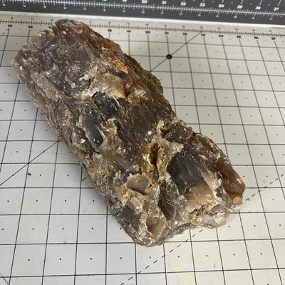 Cool ROCK Petrified Wood? 