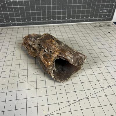 Cool ROCK Petrified Wood? 