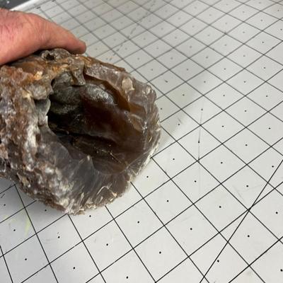 Cool ROCK Petrified Wood? 