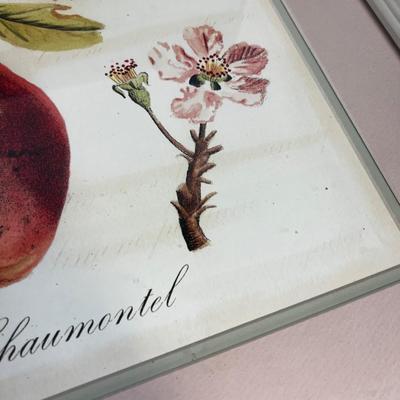 Framed Print of Pears. NEW 