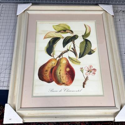 Framed Print of Pears. NEW 