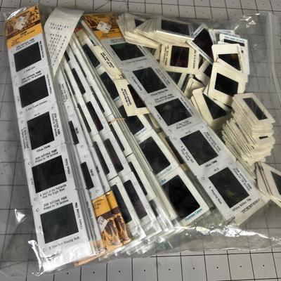 A Whole Bag of Souvenir Slides From National Parks 