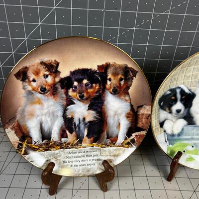 (4) Series of Puppy Dog Plates, OMG Cute