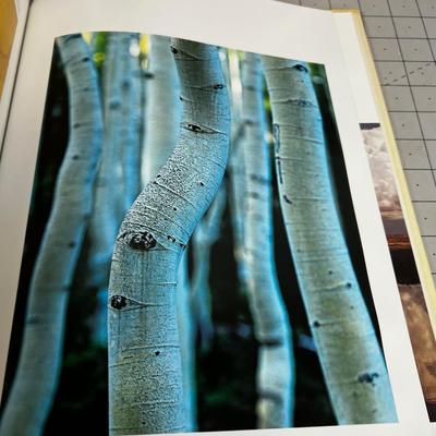 2 UTAH By David Muench 