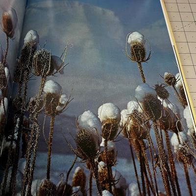 2 UTAH By David Muench 