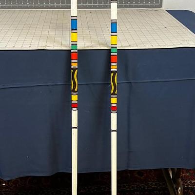 Vintage Scott Ski Poles 48" 