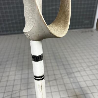 Vintage Scott Ski Poles 48" 