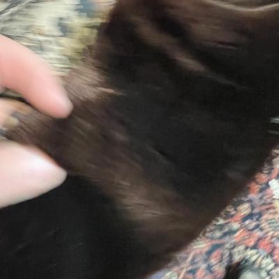 Fur Coat  by DUPLERS Fine Furs Lined