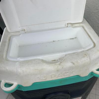 #289 Igloo Quantum Cooler