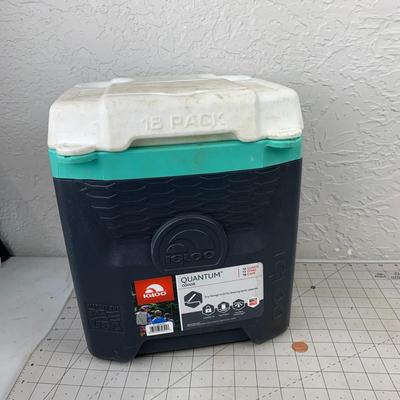 #289 Igloo Quantum Cooler