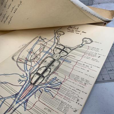 #415 1800's Missionary Journal and Anatomy Diagram