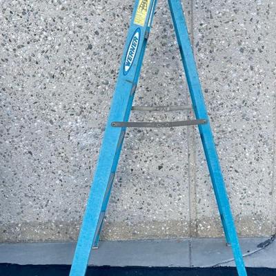 Werner 6 Foot Fiberglass Ladder