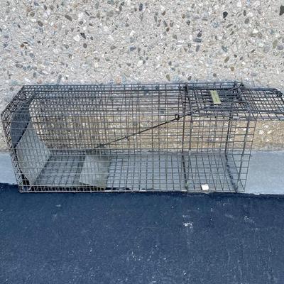 Havahart Raccoon Trap for Relocating Animals