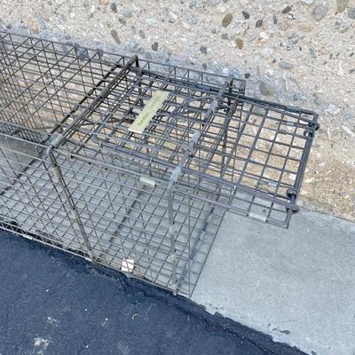 Havahart Raccoon Trap for Relocating Animals