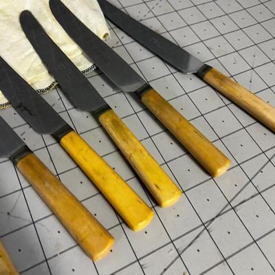 Set of Vintage Bone Handled Knives, Stainless Steel