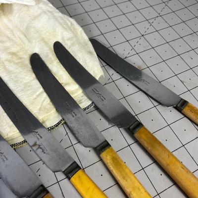 Set of Vintage Bone Handled Knives, Stainless Steel