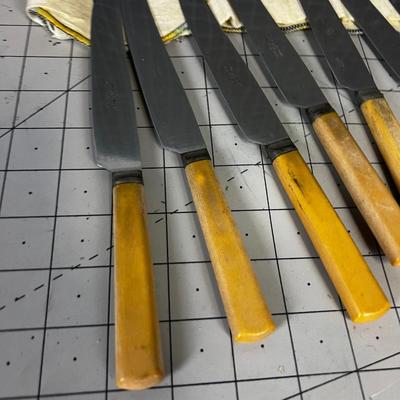 Set of Vintage Bone Handled Knives, Stainless Steel