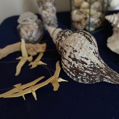 Sea Shell Lot