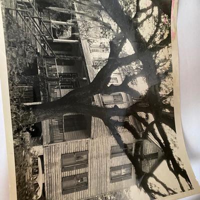 Carolina Plantation Lot