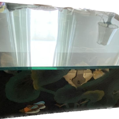 Enamelled Wood Box Coffee Table