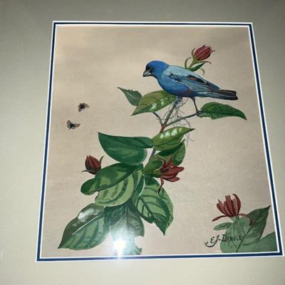 Framed Bird Art Lot