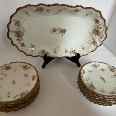 Beautiful Limoges France Dish Set