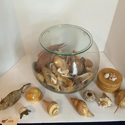Sea Shell Lot