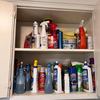 Misc. item Lot