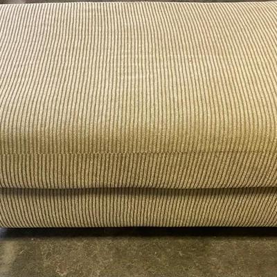 Comfy Cozy Couch and Ottoman