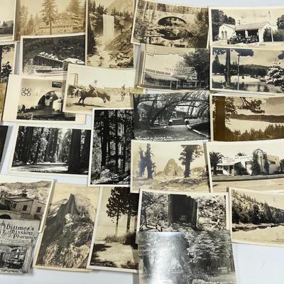 Lot of Vintage Antique Americana Travel Written On Souvenir Postcards Rodeos, Nature Park, & More