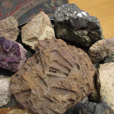 Assorted Geodes and Minerals