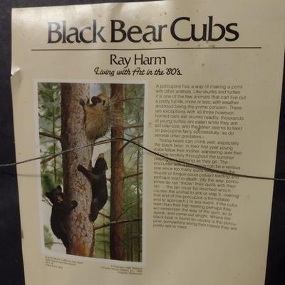 Framed Art by Ray Harm 'Black Bear Cubs'