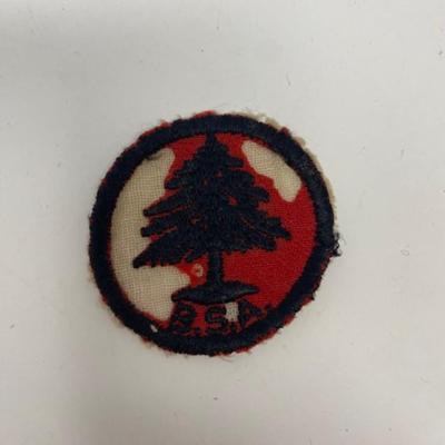 BSA Pine Tree Vintage Badge