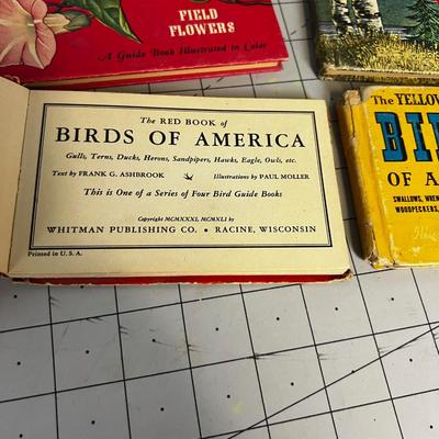 Vintage Field Guide: Flowers, Birds And Trees (for Children) 