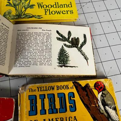 Vintage Field Guide: Flowers, Birds And Trees (for Children) 