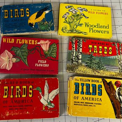 Vintage Field Guide: Flowers, Birds And Trees (for Children) 