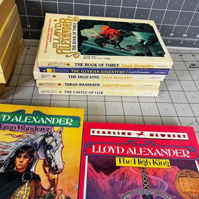 Collection of Lloyd Anderson Young Adult Fantasy Adventure books. 