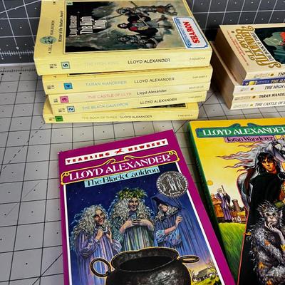 Collection of Lloyd Anderson Young Adult Fantasy Adventure books. 