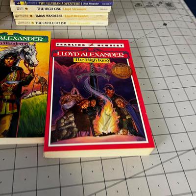Collection of Lloyd Anderson Young Adult Fantasy Adventure books. 