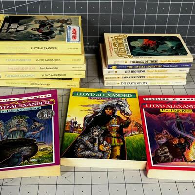 Collection of Lloyd Anderson Young Adult Fantasy Adventure books. 