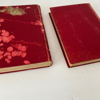 SC Women in the Confederacy Book Lot