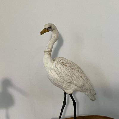 Shore Bird Lot