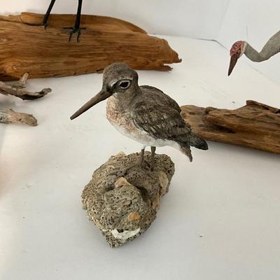Shore Bird Lot